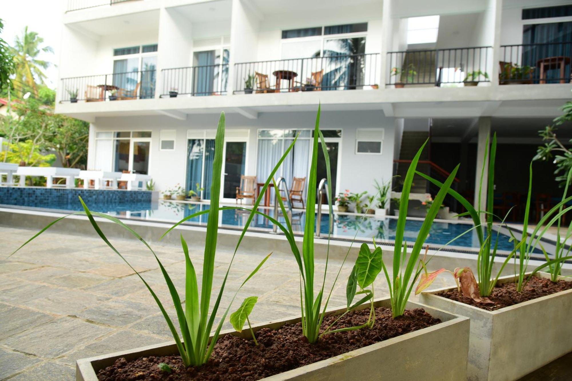 Di Sicuro Tourist Inn ฮิกคาดูวา ภายนอก รูปภาพ